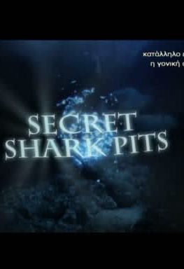 Secret Sharks Pit (Στα μυστικα Λημερια του Καρχαρια)