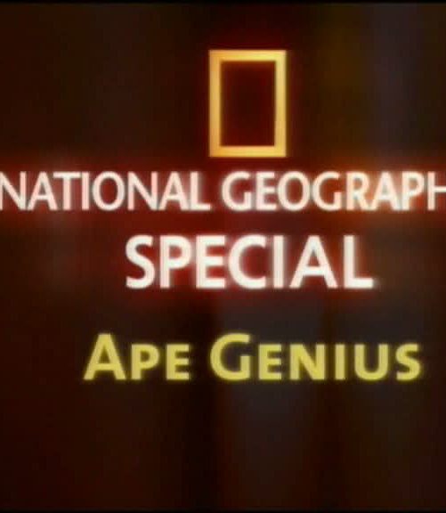 Ape Genius(National Geographic)