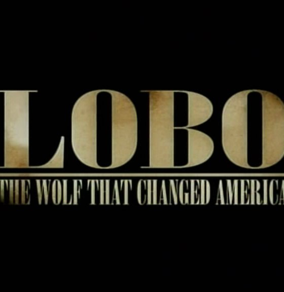 Lobo: The Wolf that changed America (Natural world,BBC)