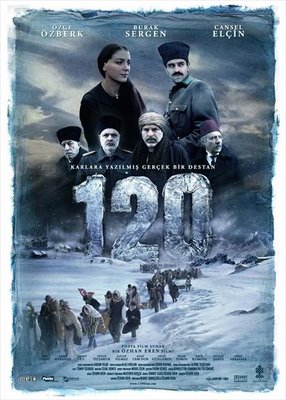 120 (2008)