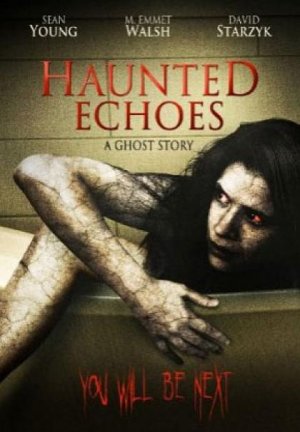 Haunted Echoes (2008)