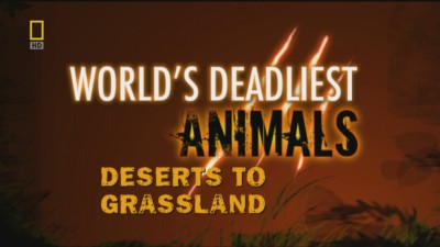 The Deadliest animals of desert and grass land(Τα πιο θανατηφορα ζωα Ερημου-Πεδιαδας)