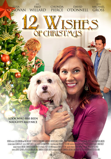 12 Wishes of Christmas (2011)